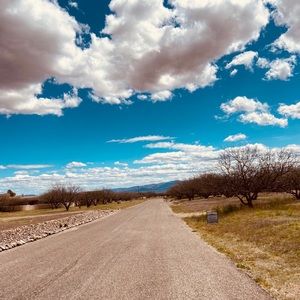 Meet your Posher, Rosey